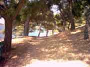 Bild Ermioni: Zum vergr��ern bitte klicken!