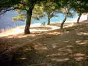 Bild Ermioni: Zum vergr��ern bitte klicken!